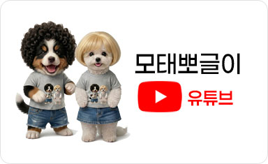 모태뽀글이 유튜브